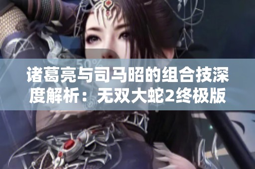 诸葛亮与司马昭的组合技深度解析：无双大蛇2终极版全攻略分享