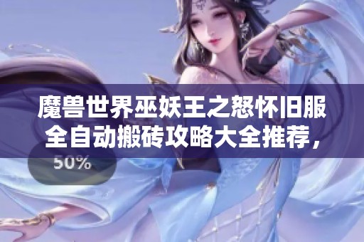 魔兽世界巫妖王之怒怀旧服全自动搬砖攻略大全推荐，助你轻松获得游戏收益