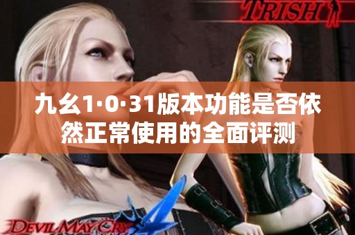 九幺1·0·31版本功能是否依然正常使用的全面评测