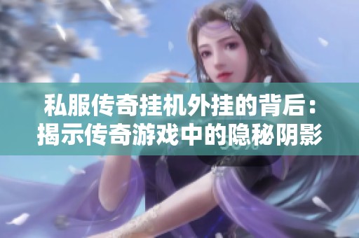 私服传奇挂机外挂的背后：揭示传奇游戏中的隐秘阴影与必要的反思探讨