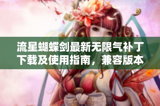 流星蝴蝶剑最新无限气补丁下载及使用指南，兼容版本9.8电脑游戏增强体验