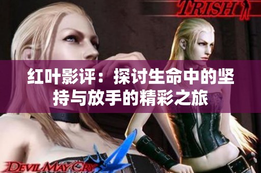 红叶影评：探讨生命中的坚持与放手的精彩之旅