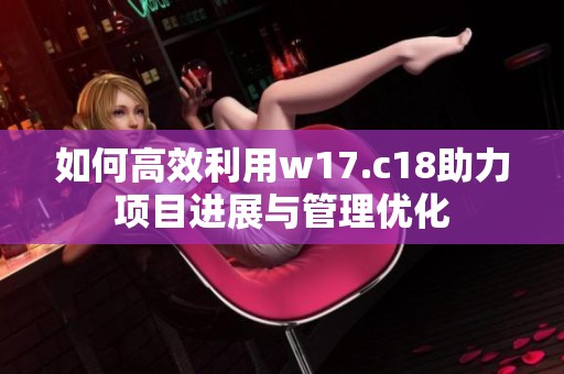 如何高效利用w17.c18助力项目进展与管理优化