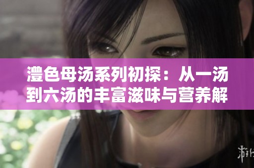 澧色母汤系列初探：从一汤到六汤的丰富滋味与营养解析