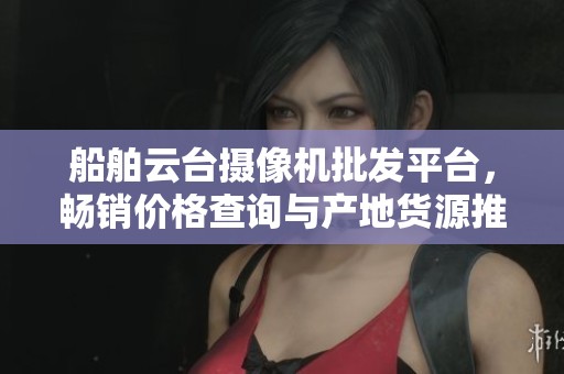 船舶云台摄像机批发平台，畅销价格查询与产地货源推荐尽在这里