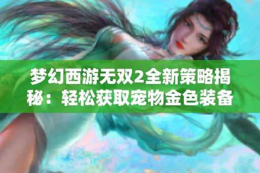 梦幻西游无双2全新策略揭秘：轻松获取宠物金色装备的终极攻略分享