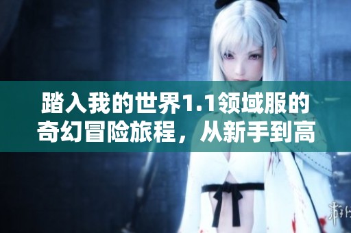 踏入我的世界1.1领域服的奇幻冒险旅程，从新手到高手的全方位攻略分享