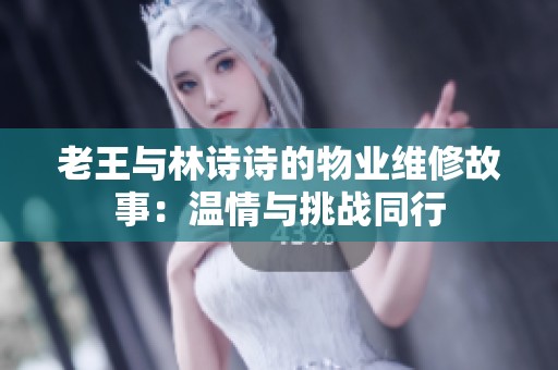 老王与林诗诗的物业维修故事：温情与挑战同行