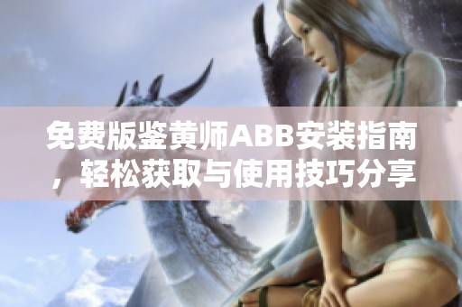 免费版鉴黄师ABB安装指南，轻松获取与使用技巧分享