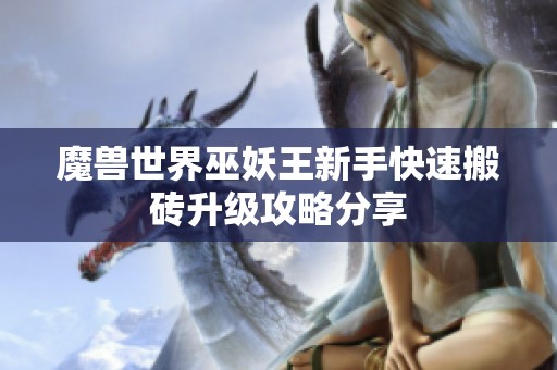 魔兽世界巫妖王新手快速搬砖升级攻略分享
