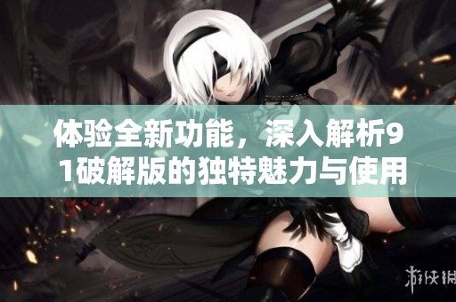 体验全新功能，深入解析9 1破解版的独特魅力与使用技巧