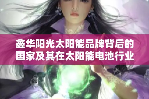 鑫华阳光太阳能品牌背后的国家及其在太阳能电池行业的地位分析