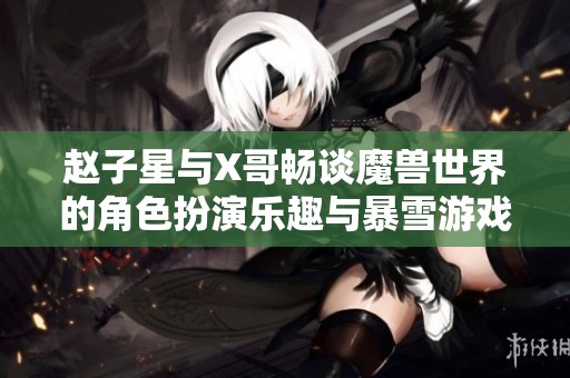 赵子星与X哥畅谈魔兽世界的角色扮演乐趣与暴雪游戏的魅力大揭秘