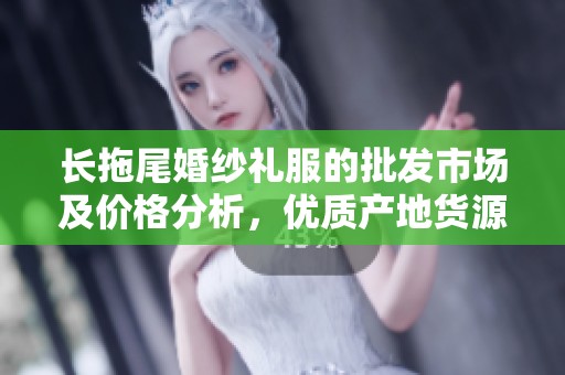 长拖尾婚纱礼服的批发市场及价格分析，优质产地货源推荐与促销活动介绍
