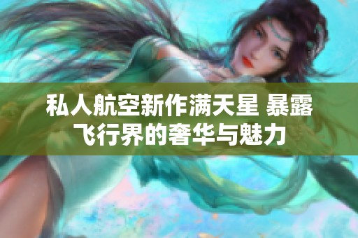 私人航空新作满天星 暴露飞行界的奢华与魅力