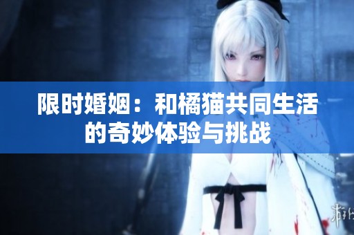 限时婚姻：和橘猫共同生活的奇妙体验与挑战