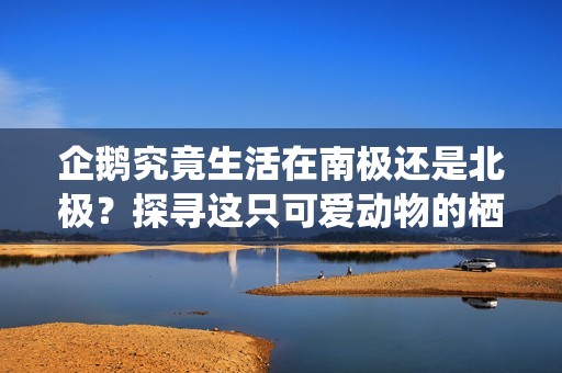 企鹅究竟生活在南极还是北极？探寻这只可爱动物的栖息地真相