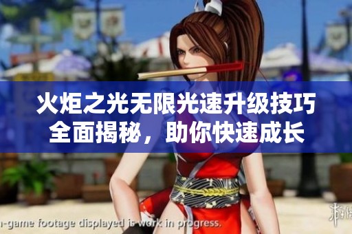 火炬之光无限光速升级技巧全面揭秘，助你快速成长