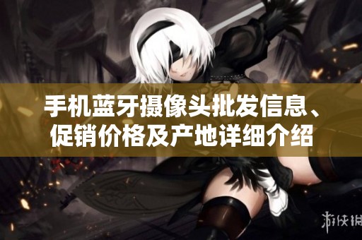 手机蓝牙摄像头批发信息、促销价格及产地详细介绍