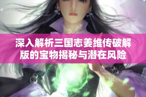 深入解析三国志姜维传破解版的宝物揭秘与潜在风险