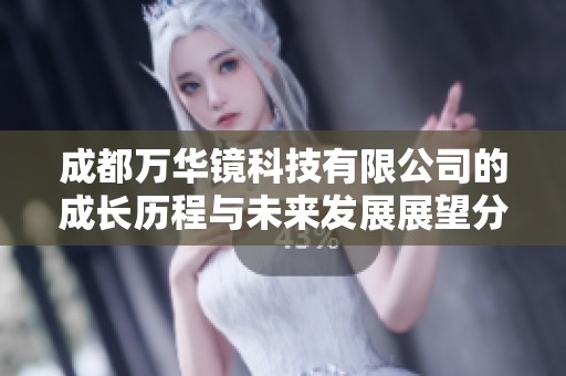 成都万华镜科技有限公司的成长历程与未来发展展望分析