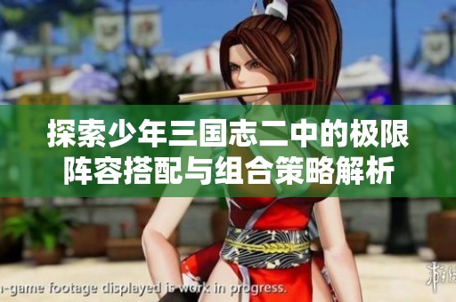 探索少年三国志二中的极限阵容搭配与组合策略解析