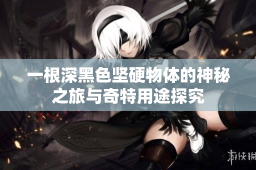 一根深黑色坚硬物体的神秘之旅与奇特用途探究