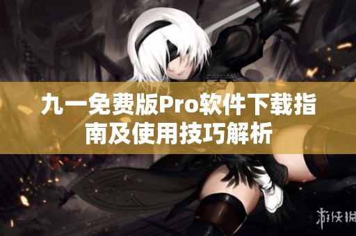 九一免费版Pro软件下载指南及使用技巧解析