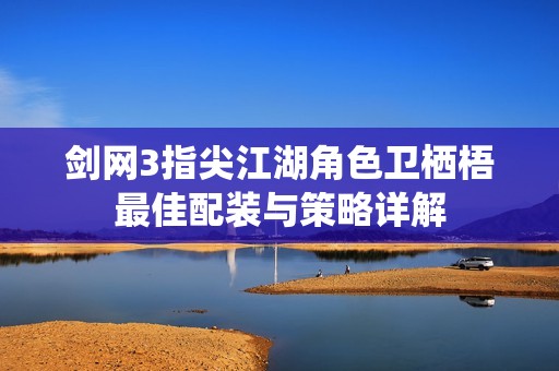 剑网3指尖江湖角色卫栖梧最佳配装与策略详解