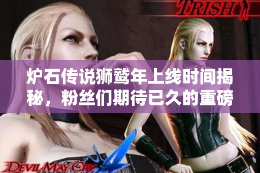 炉石传说狮鹫年上线时间揭秘，粉丝们期待已久的重磅更新来袭