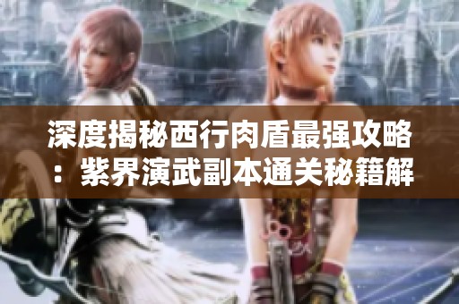 深度揭秘西行肉盾最强攻略：紫界演武副本通关秘籍解析