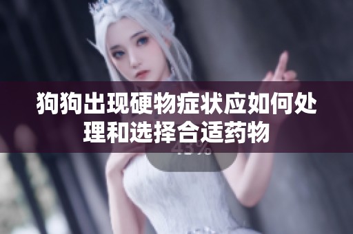 狗狗出现硬物症状应如何处理和选择合适药物
