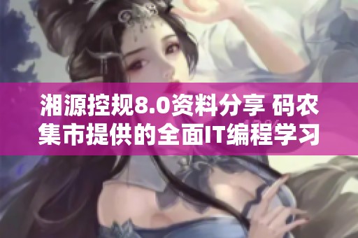 湘源控规8.0资料分享 码农集市提供的全面IT编程学习资源推荐