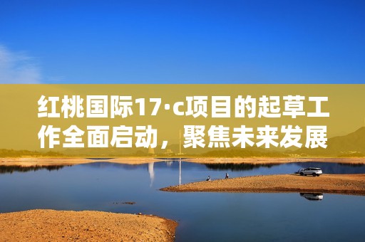 红桃国际17·c项目的起草工作全面启动，聚焦未来发展战略