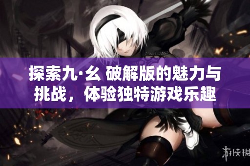 探索九·幺 破解版的魅力与挑战，体验独特游戏乐趣