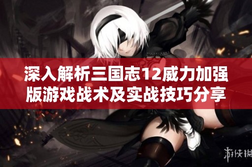 深入解析三国志12威力加强版游戏战术及实战技巧分享指南