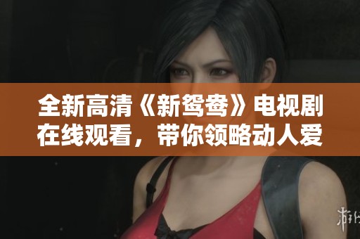 全新高清《新鸳鸯》电视剧在线观看，带你领略动人爱情故事