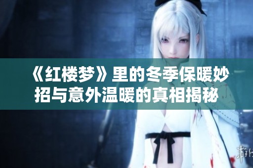 《红楼梦》里的冬季保暖妙招与意外温暖的真相揭秘