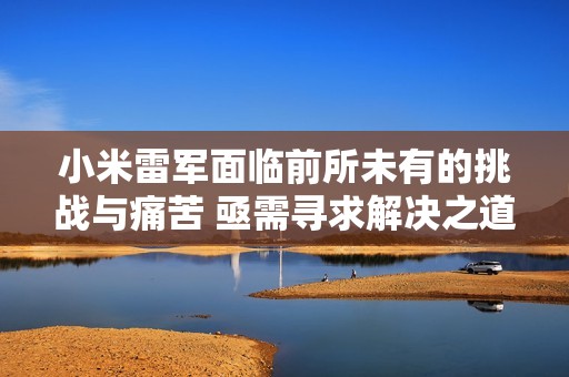 小米雷军面临前所未有的挑战与痛苦 亟需寻求解决之道