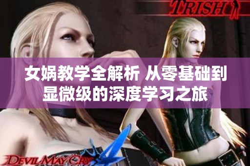 女娲教学全解析 从零基础到显微级的深度学习之旅