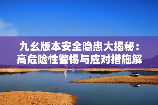 九幺版本安全隐患大揭秘：高危险性警惕与应对措施解析