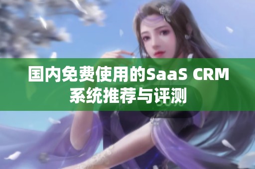 国内免费使用的SaaS CRM系统推荐与评测