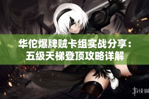 华佗爆牌贼卡组实战分享：五级天梯登顶攻略详解
