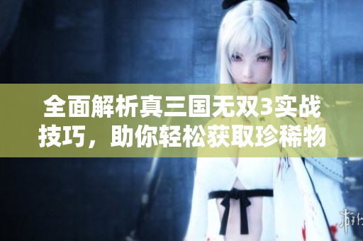 全面解析真三国无双3实战技巧，助你轻松获取珍稀物品