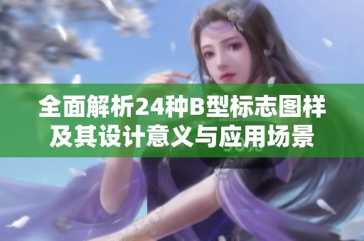 全面解析24种B型标志图样及其设计意义与应用场景