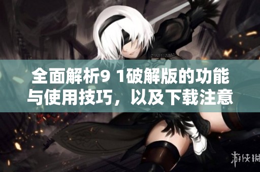 全面解析9 1破解版的功能与使用技巧，以及下载注意事项