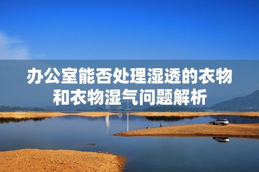 办公室能否处理湿透的衣物和衣物湿气问题解析