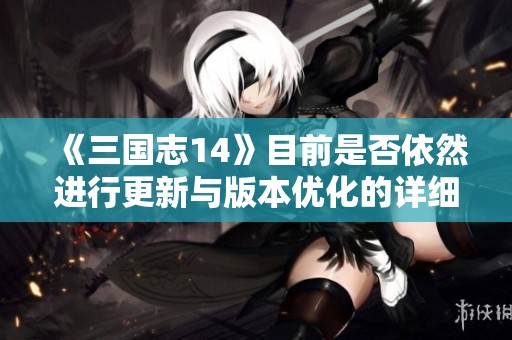 《三国志14》目前是否依然进行更新与版本优化的详细分析