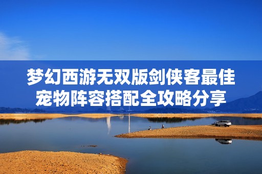 梦幻西游无双版剑侠客最佳宠物阵容搭配全攻略分享