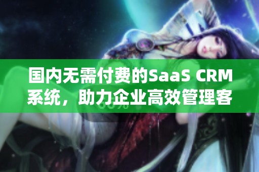 国内无需付费的SaaS CRM系统，助力企业高效管理客户关系
